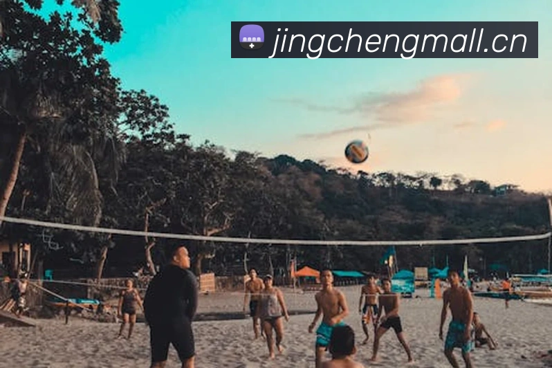 开云手机网页登录网页平台生态图